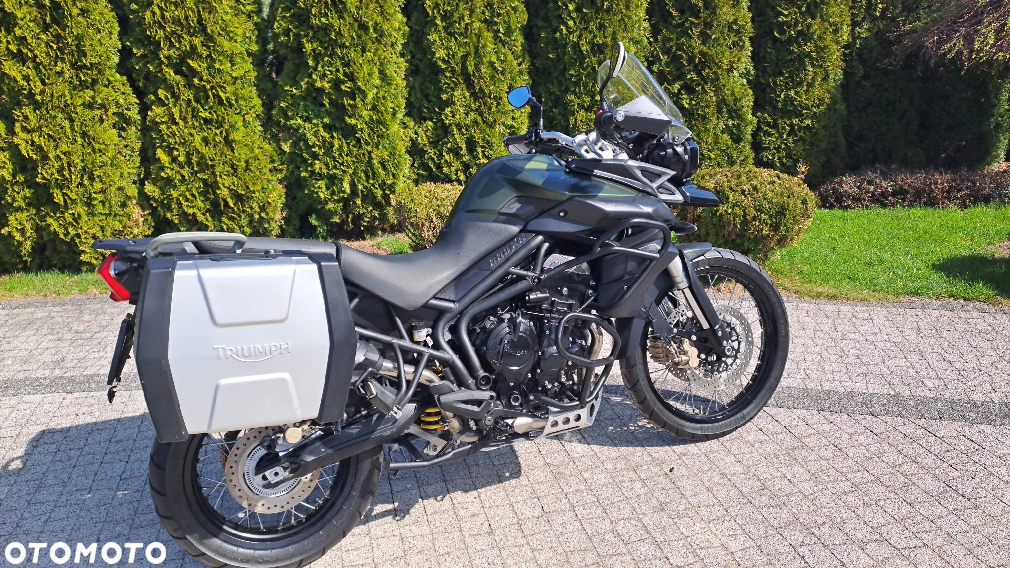 Triumph Tiger - 34