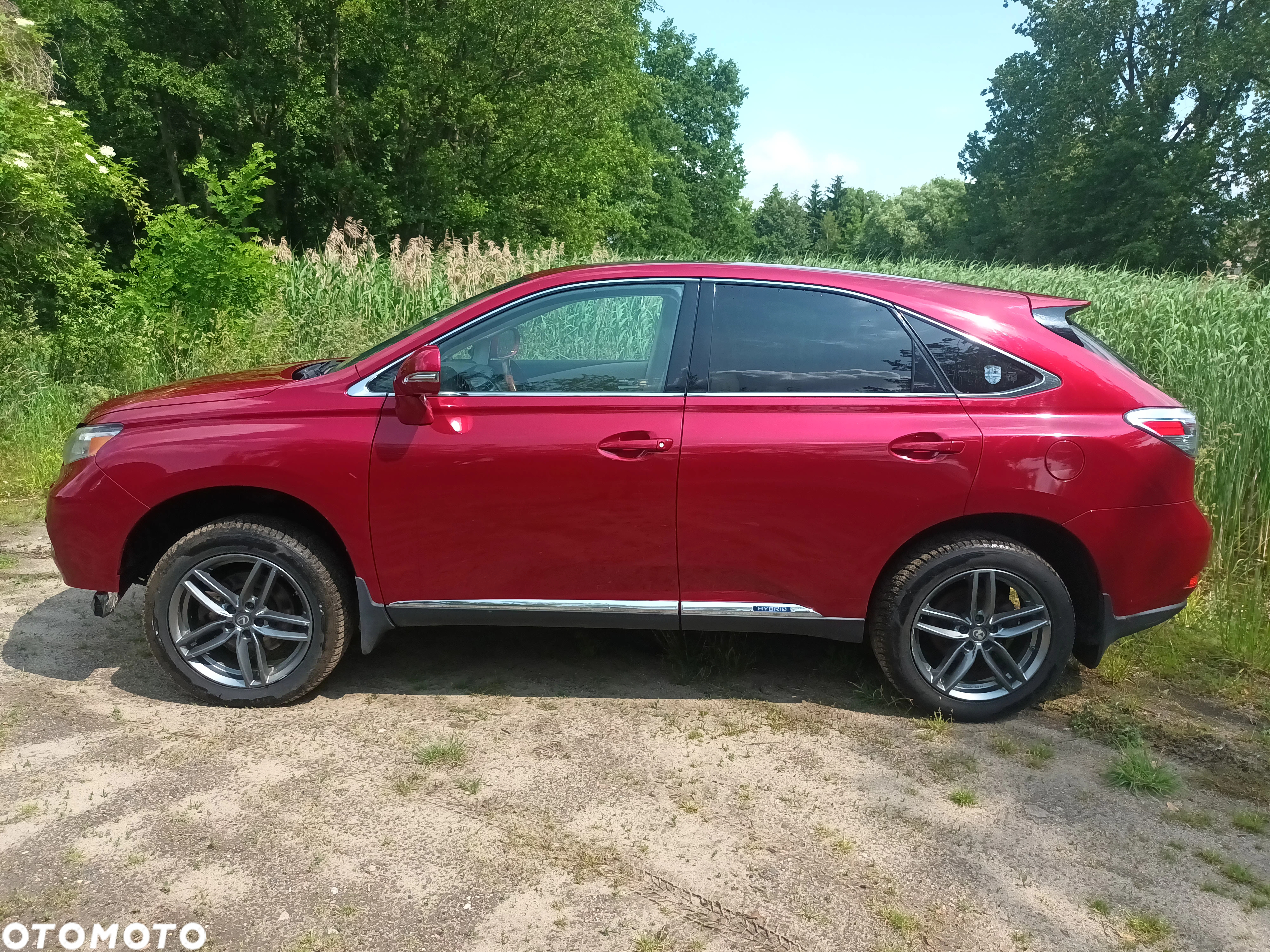Lexus RX 450h (hybrid) Executive Line - 37