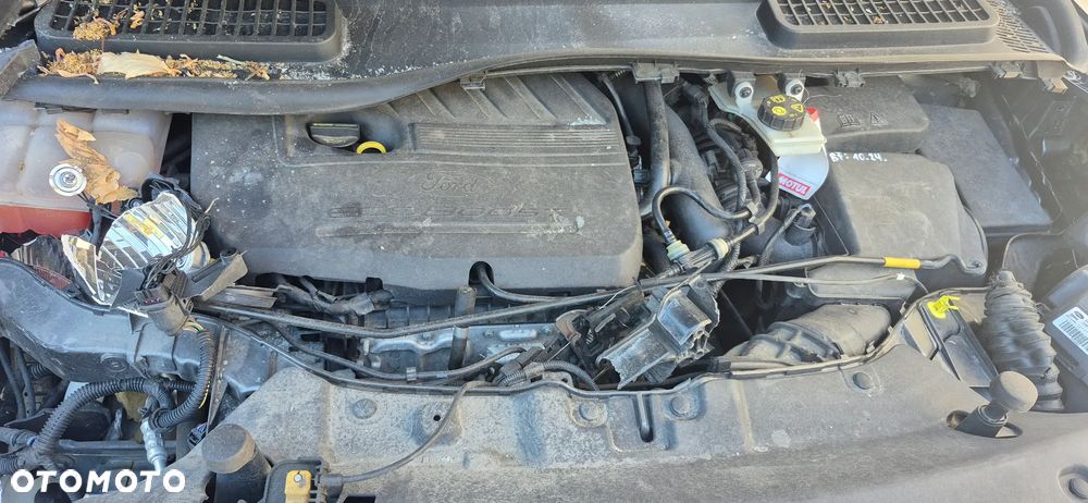 Ford Kuga 1.5 EcoBoost FWD Trend ASS - 9
