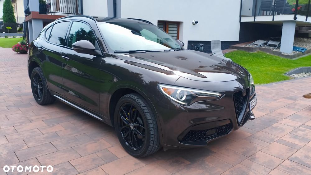 Alfa Romeo Stelvio 2.0 Turbo 16V AT8-Q4 Executive - 2