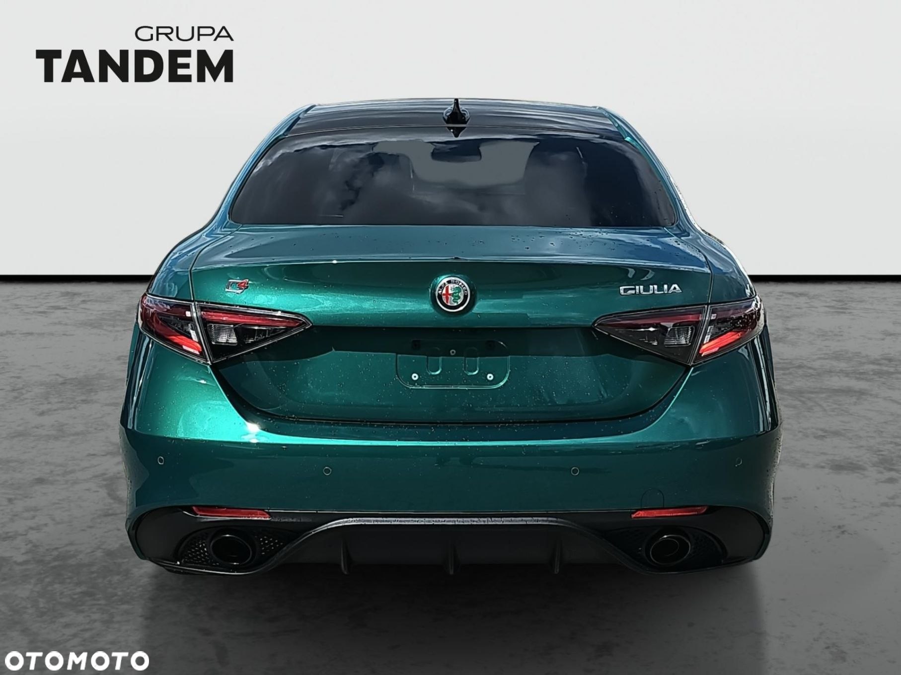 Alfa Romeo Giulia 2.0 Turbo Intensa Q4 - 6