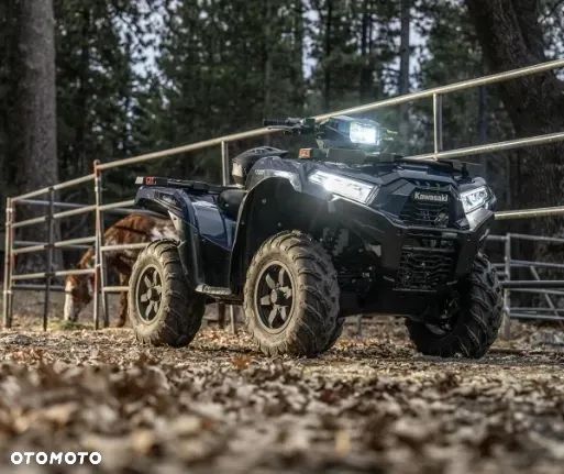 Kawasaki Brute Force - 11