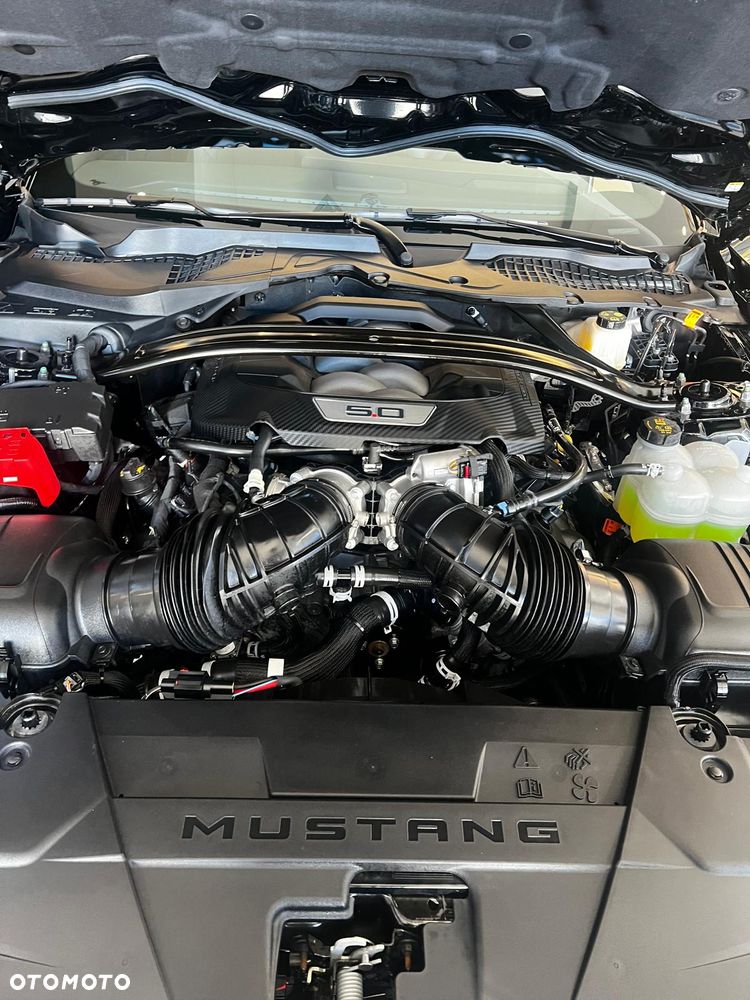 Ford Mustang - 19