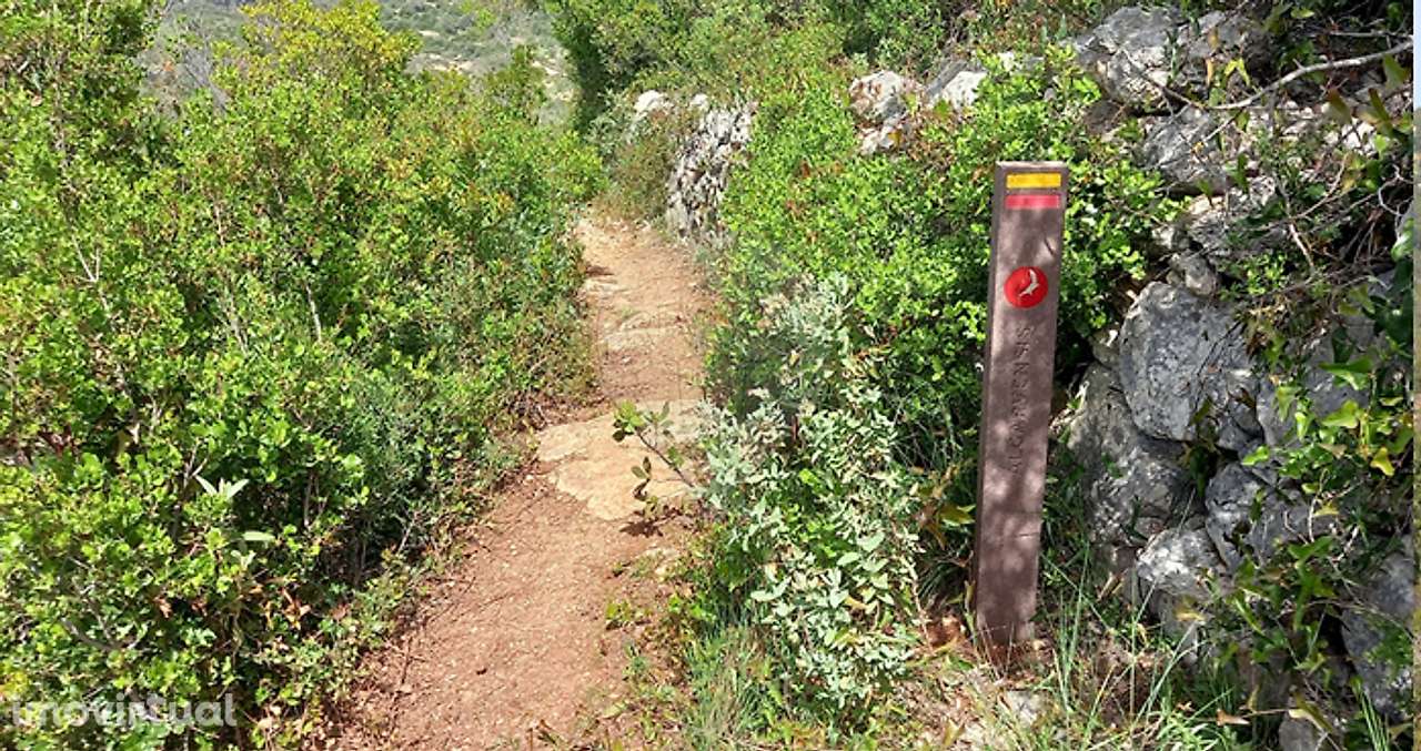 Quinta  para venda - Grande imagem: 5/12