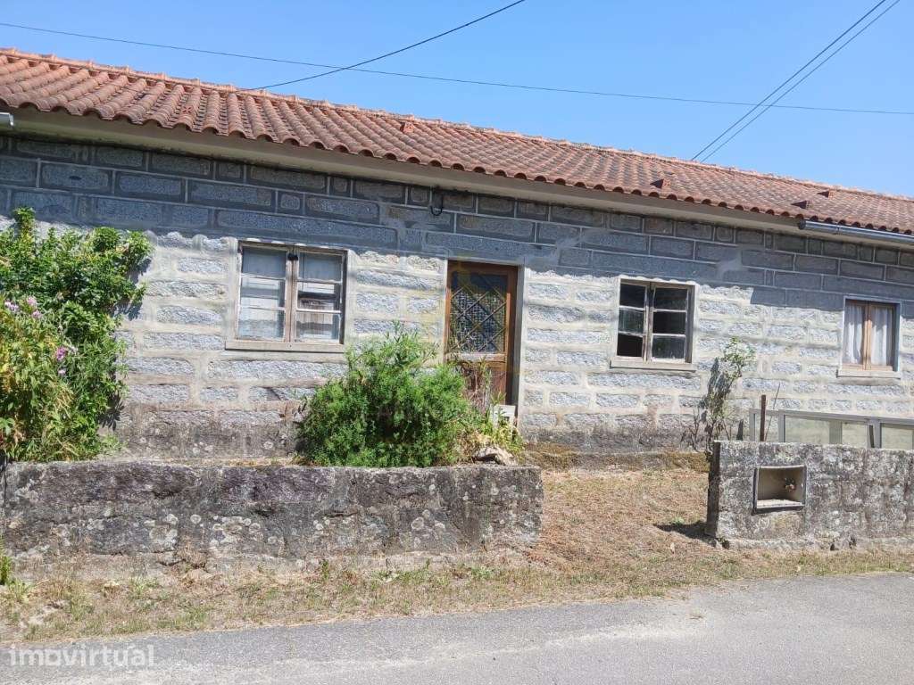 Quintinha, com 7000m2 com 4 artigos, 3 nas casa e 1 no terreno. - Grande imagem: 3/20