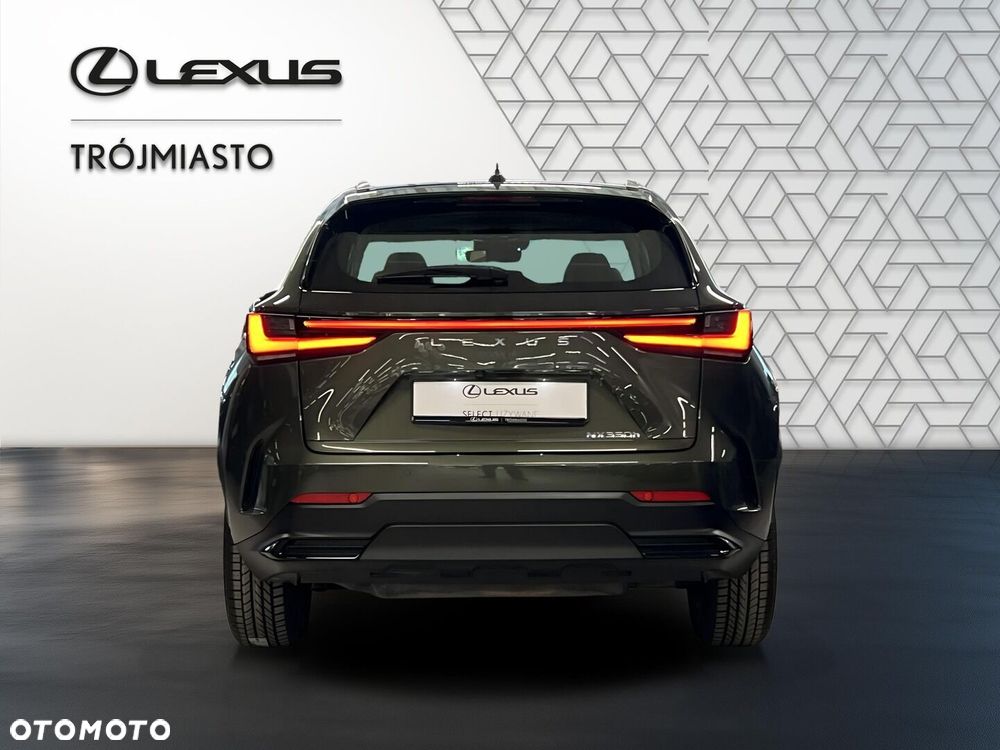 Lexus NX 350h Business AWD - 7