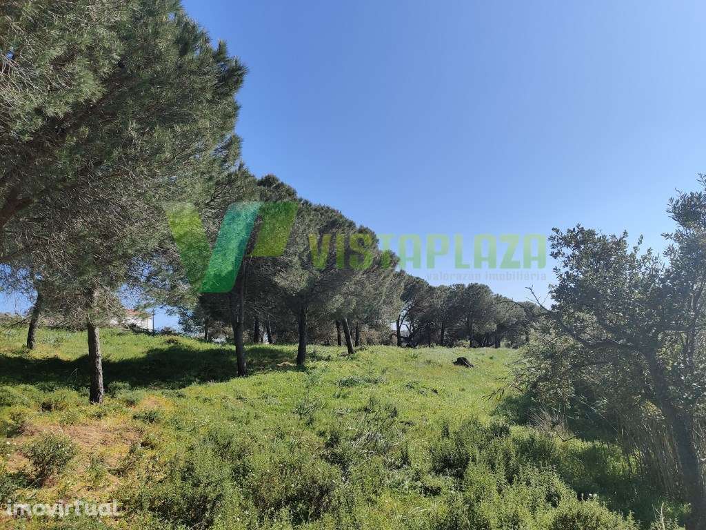 Terreno Rústico no Cotifo, Bensafrim (Lagos). - Grande imagem: 3/9