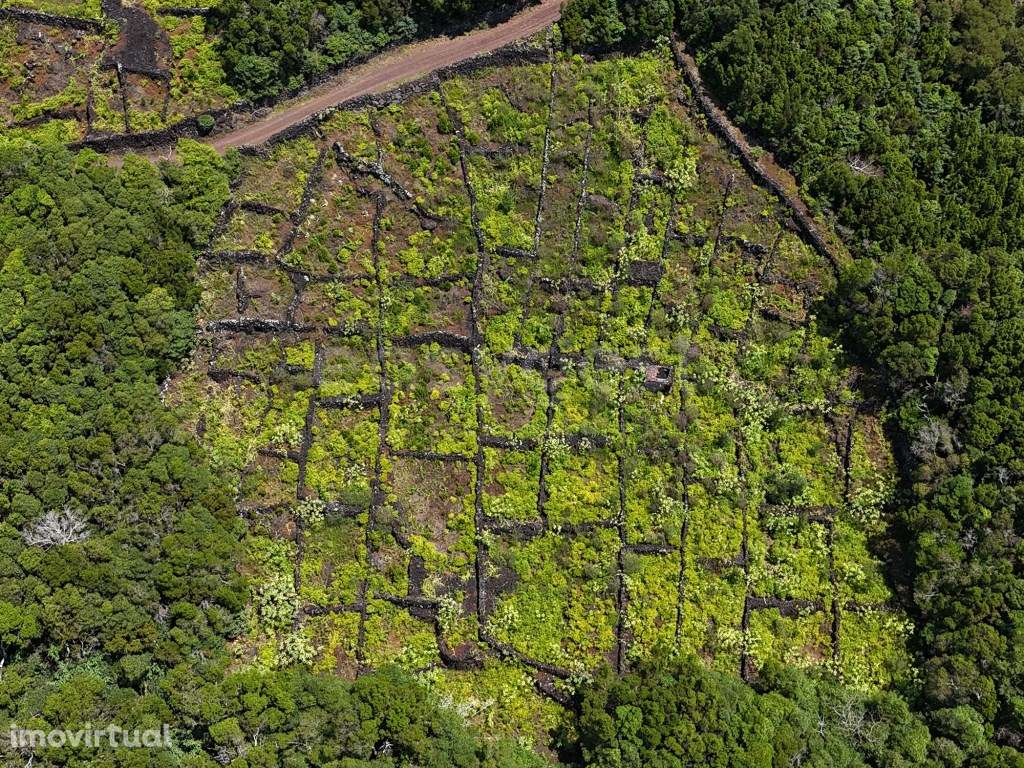 Terreno com Vista Mar Panorâmica em São Mateus - Grande imagem: 5/11