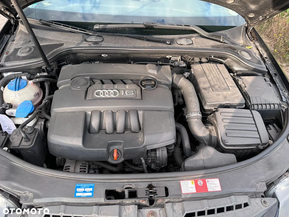 Audi A3 1.6 Ambiente - 10