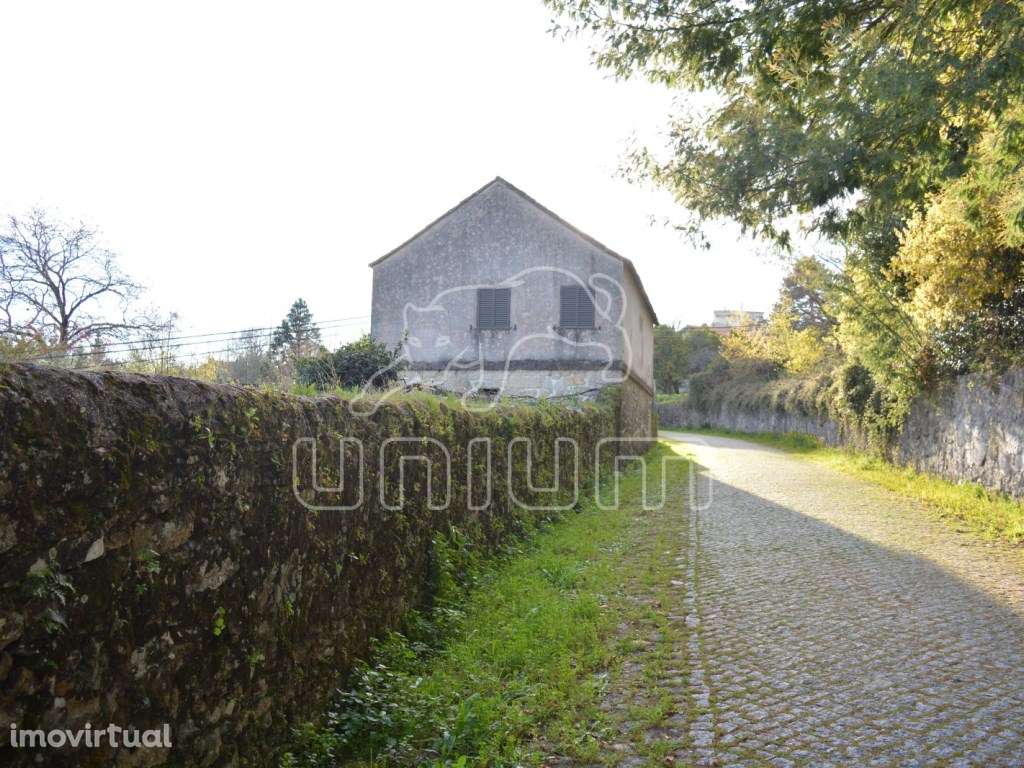 Quintinha em Cardielos - Grande imagem: 4/16