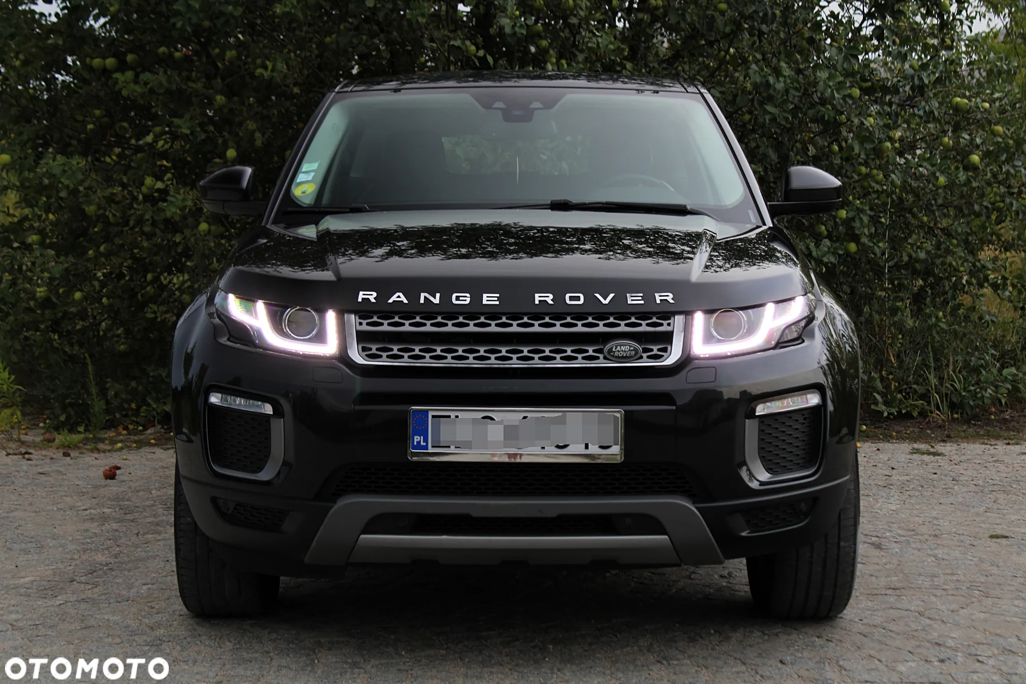 Land Rover Range Rover Evoque TD4 HSE - 2