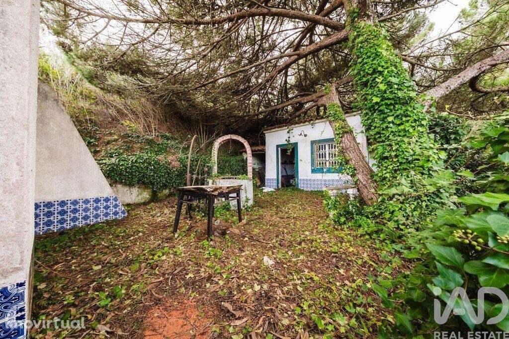 Terreno misto em Foz do Arelho - Grande imagem: 2/24