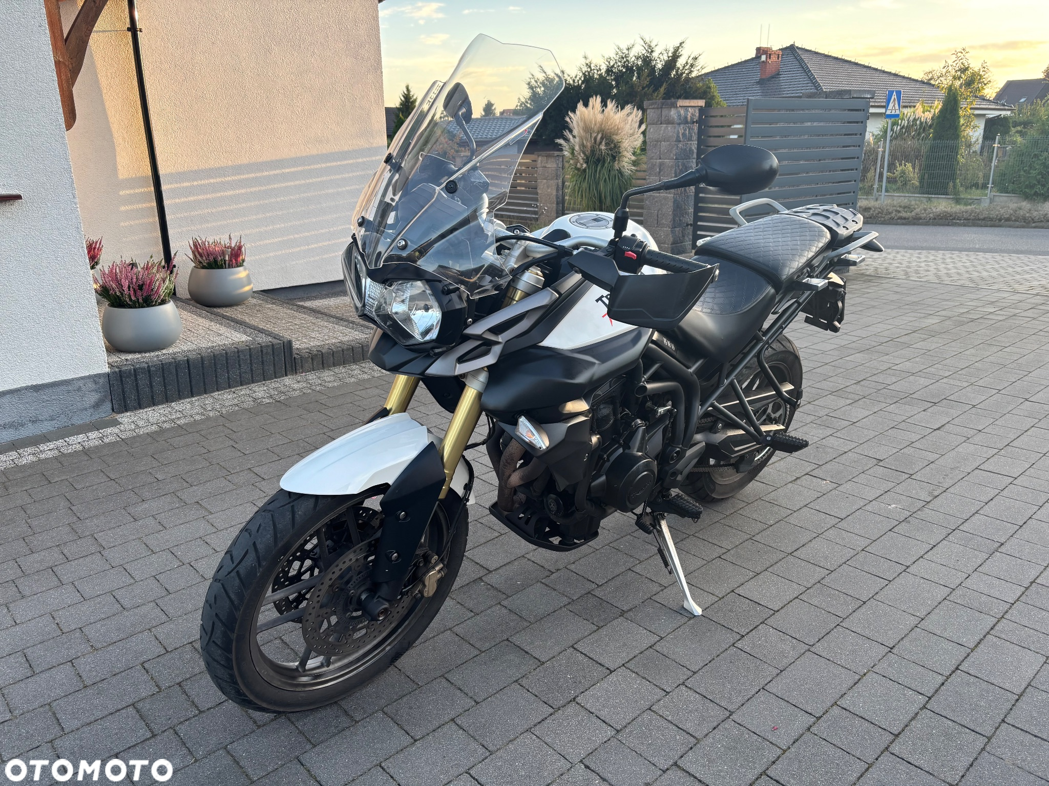 Triumph Tiger - 24