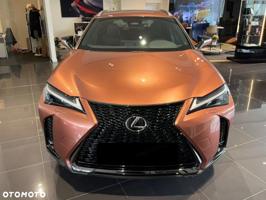 Lexus UX 300h F Sport - 2