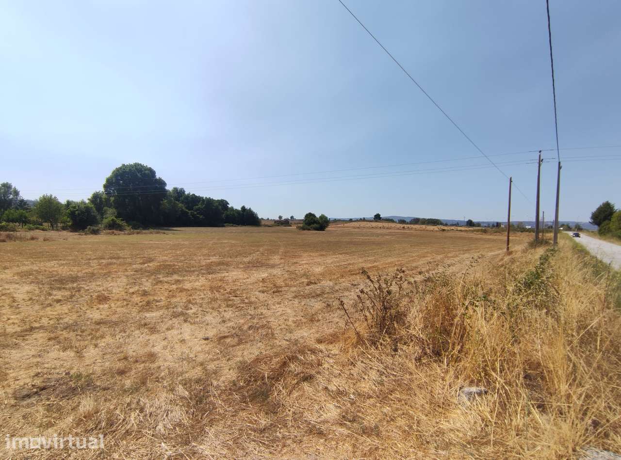 Quinta  Venda em Melo e Nabais,Gouveia - Grande imagem: 3/5