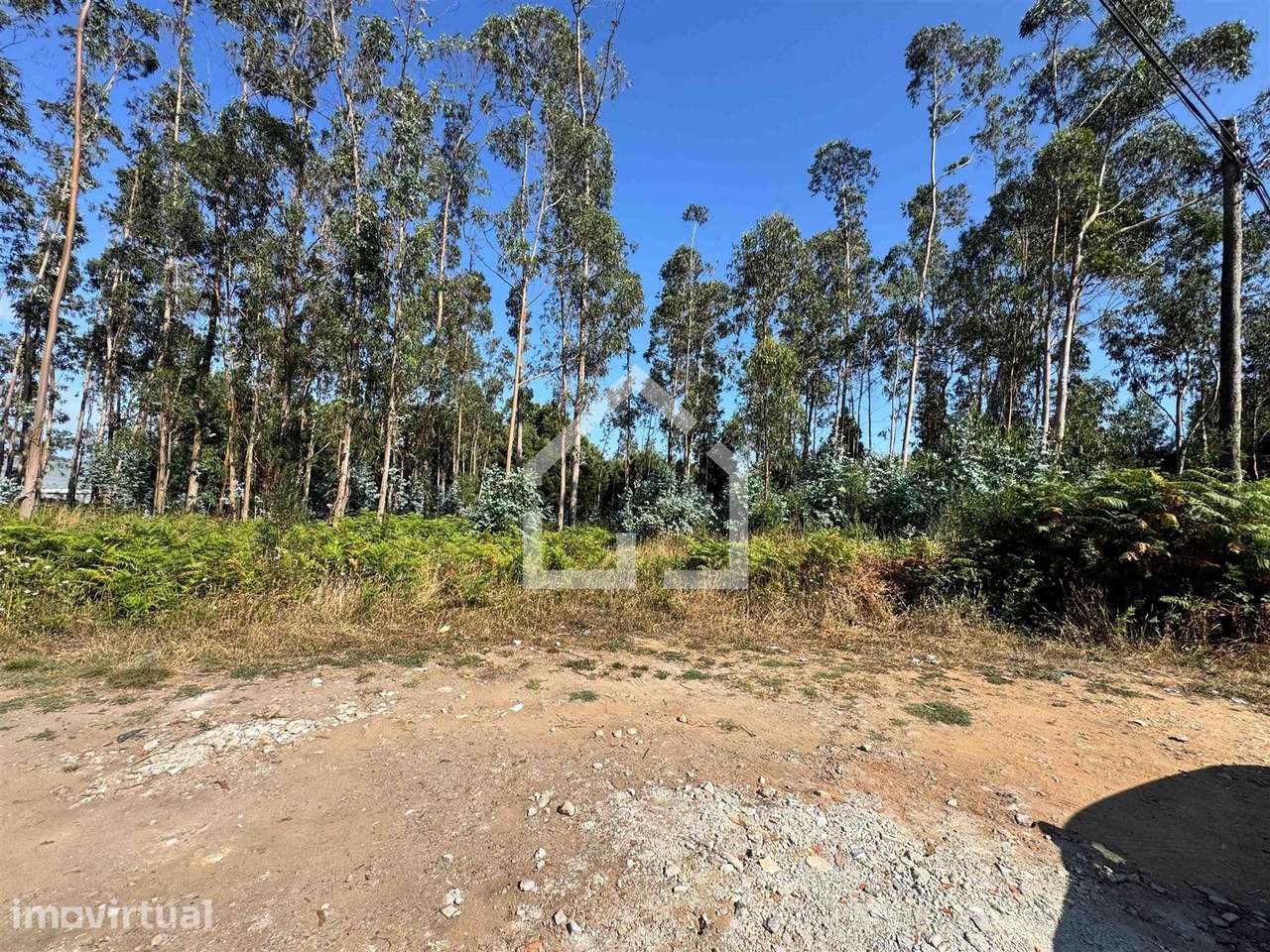Terreno Construção - Lourosa - Grande imagem: 5/8