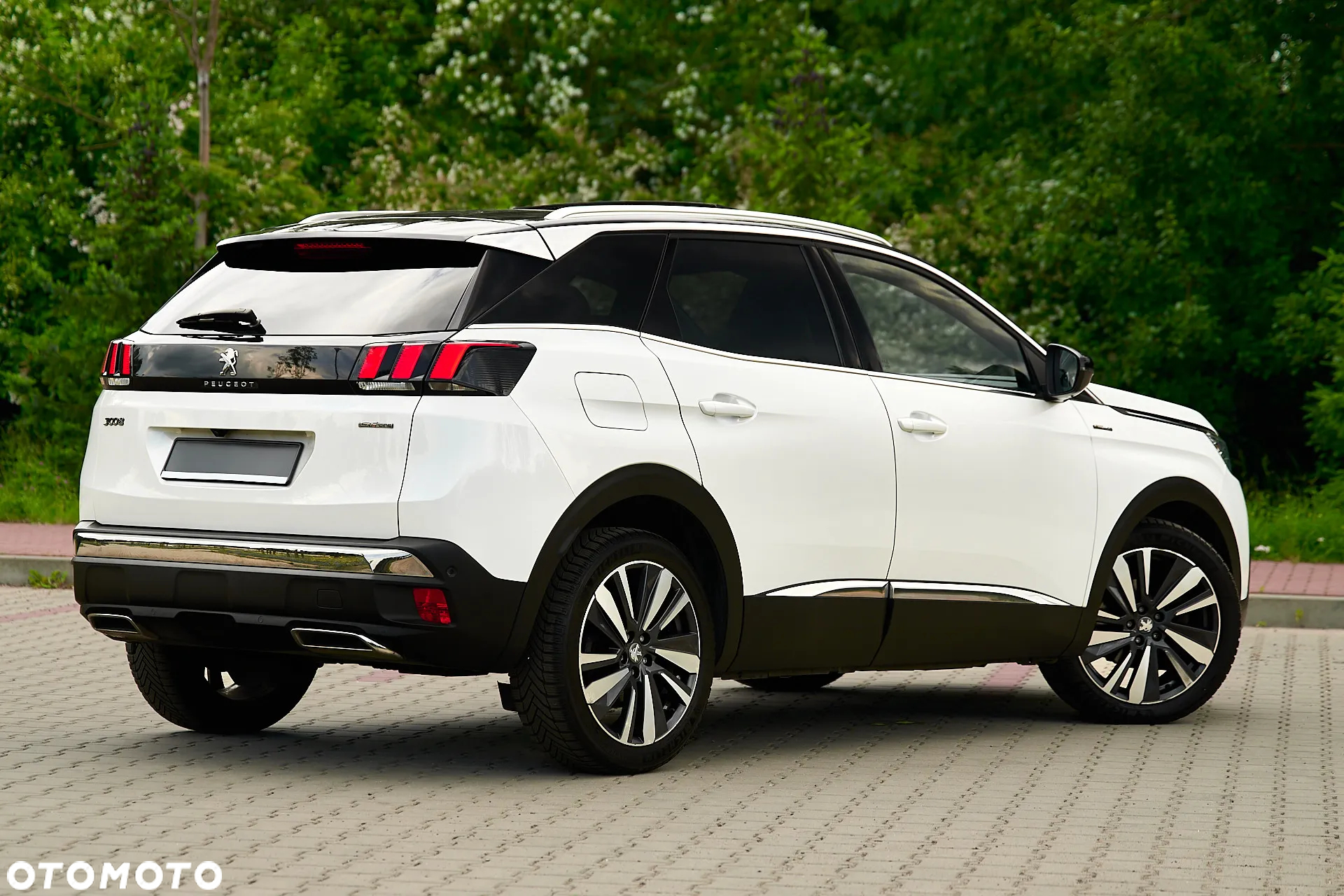 Peugeot 3008 1.5 BlueHDi GT S&S - 18