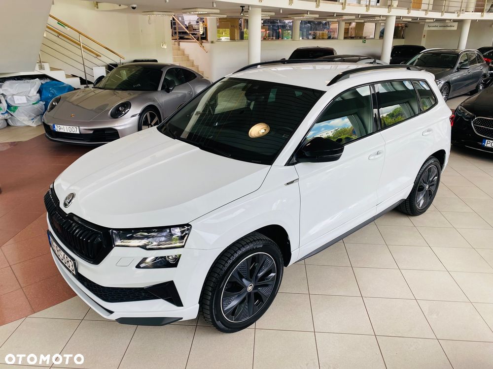 Skoda Karoq - 1