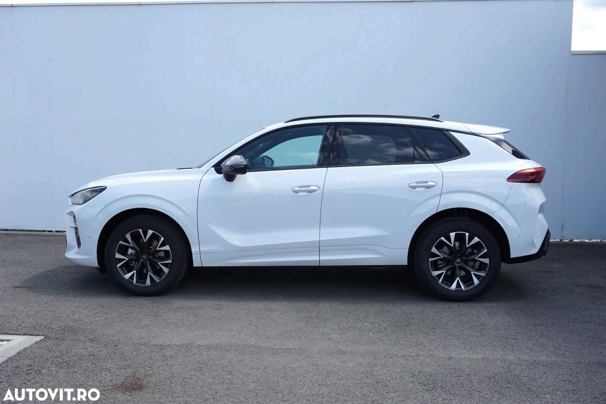 Cupra Terramar - 2