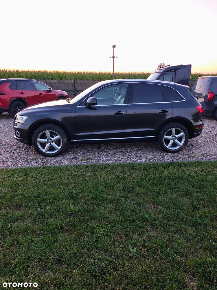 Audi Q5 - 31