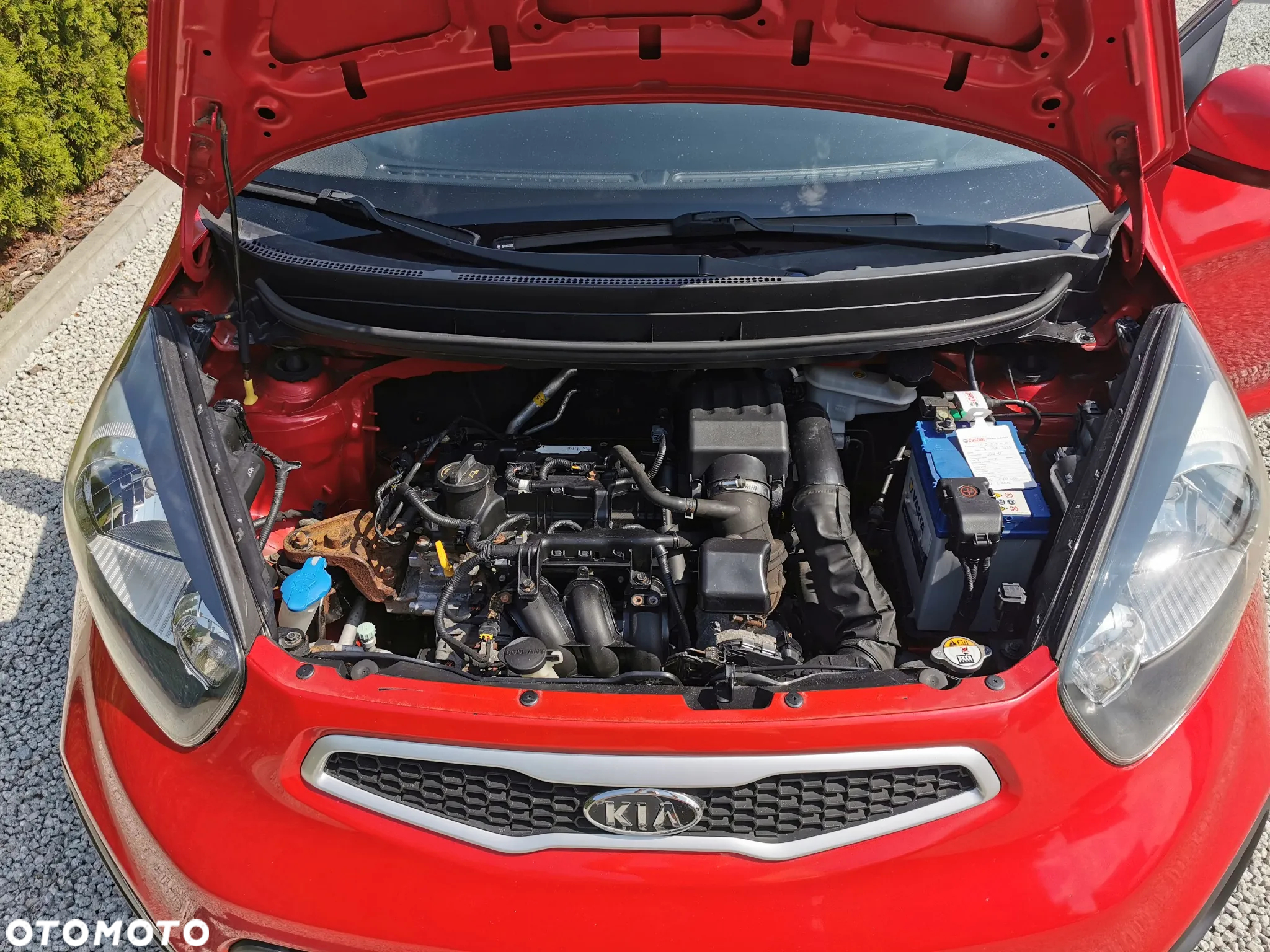 Kia Picanto 1.0 Dream Team Edition - 34