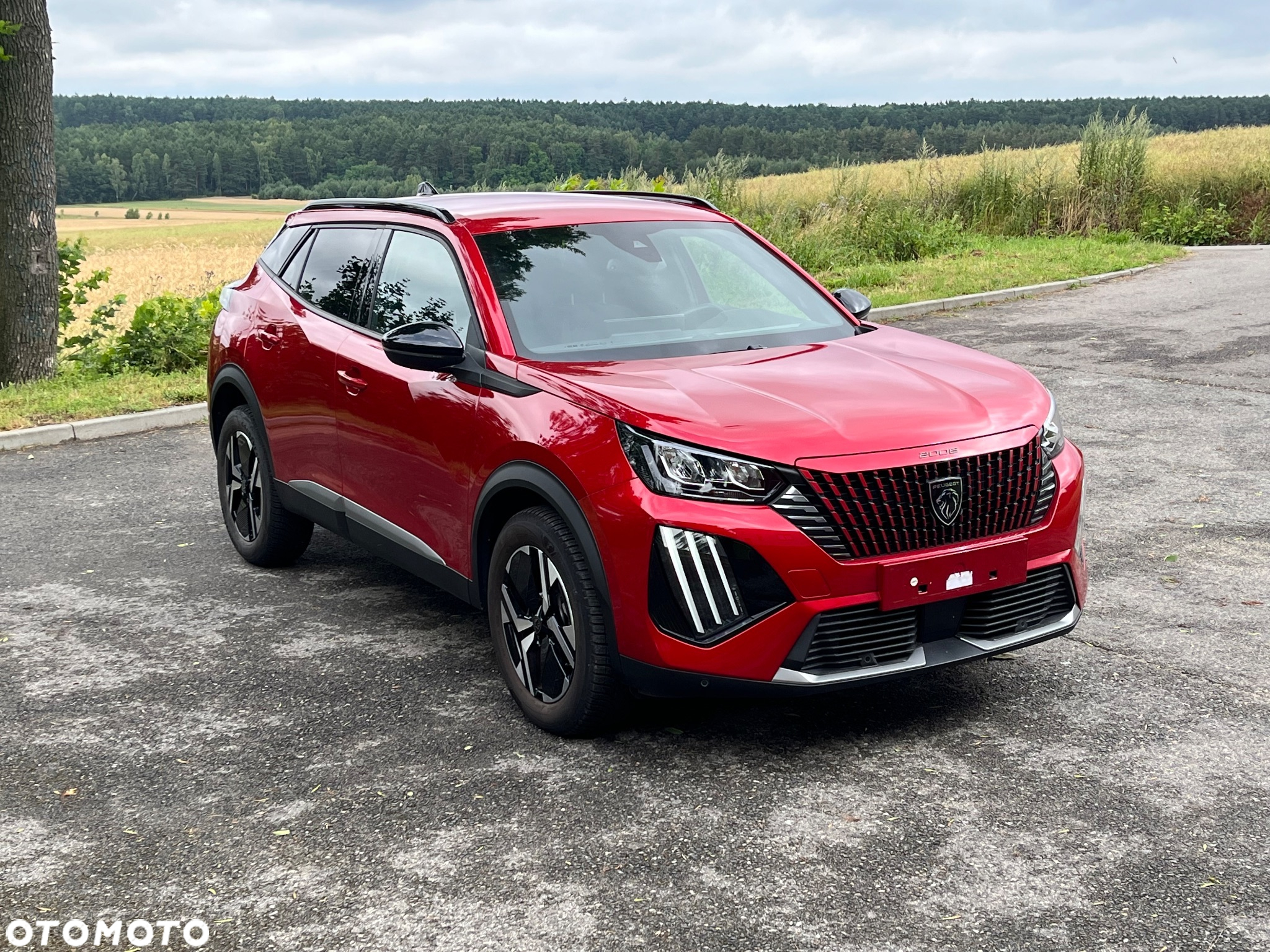 Peugeot 2008 - 3
