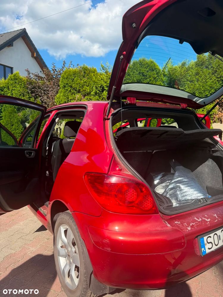 Peugeot 307 1.6 HDI Oxygo - 19