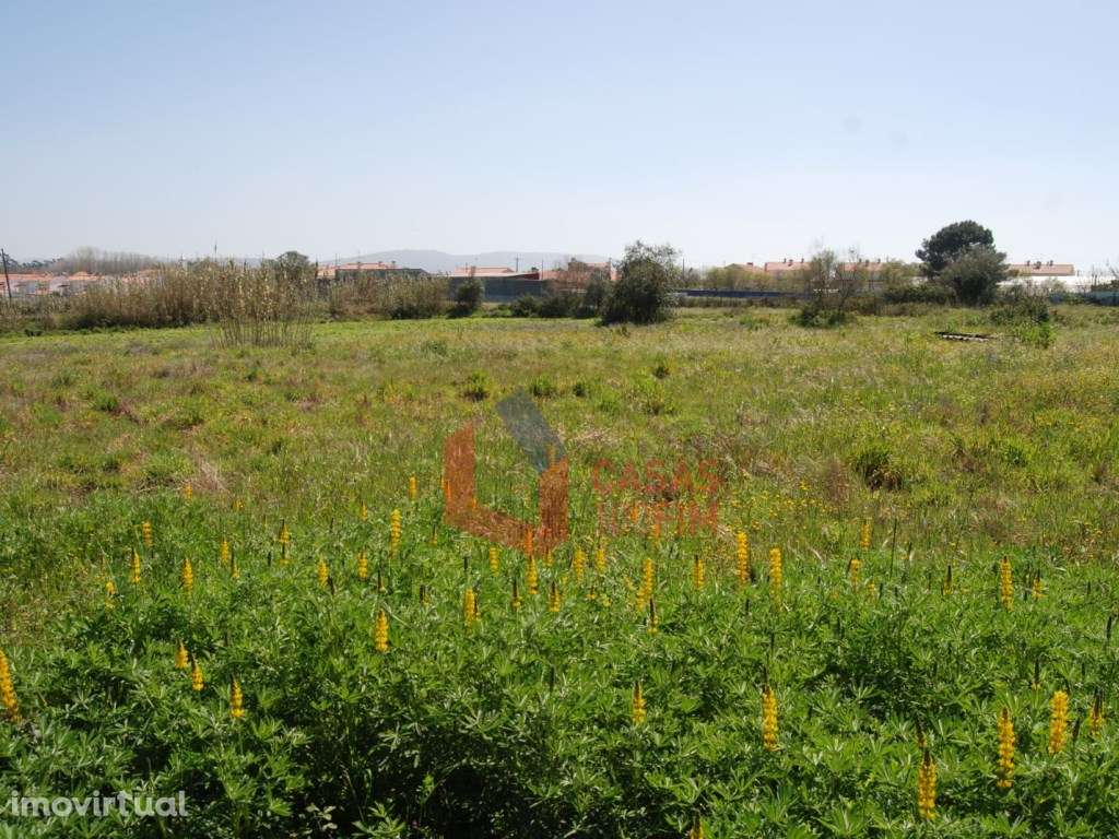 Terreno agrícola com 2350m2, Calvaria de Baixo, Batalha - Grande imagem: 2/4