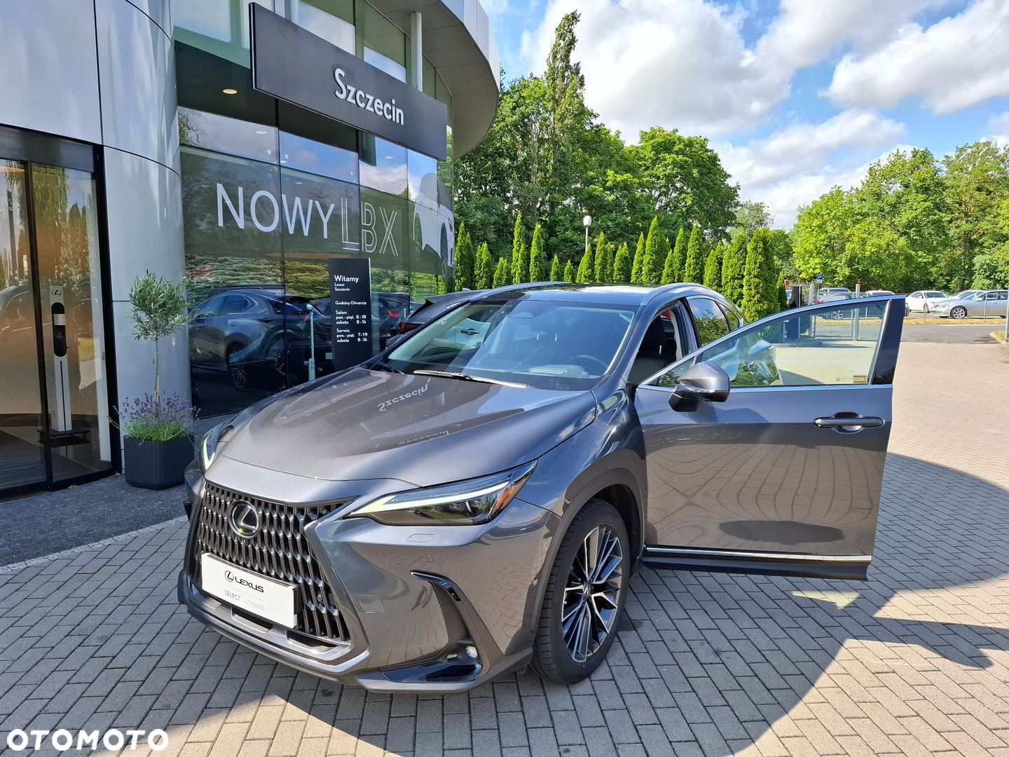 Lexus NX - 9