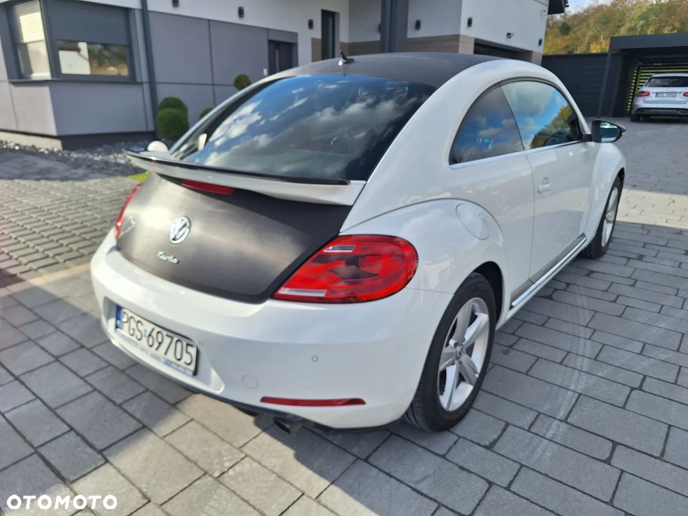 Volkswagen Beetle - 8
