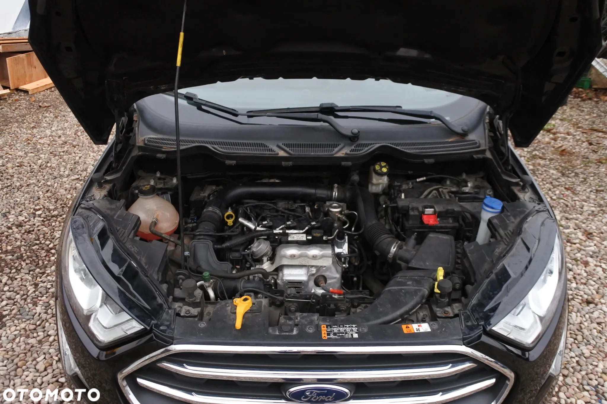 Ford EcoSport 1.0 EcoBoost TITANIUM - 31