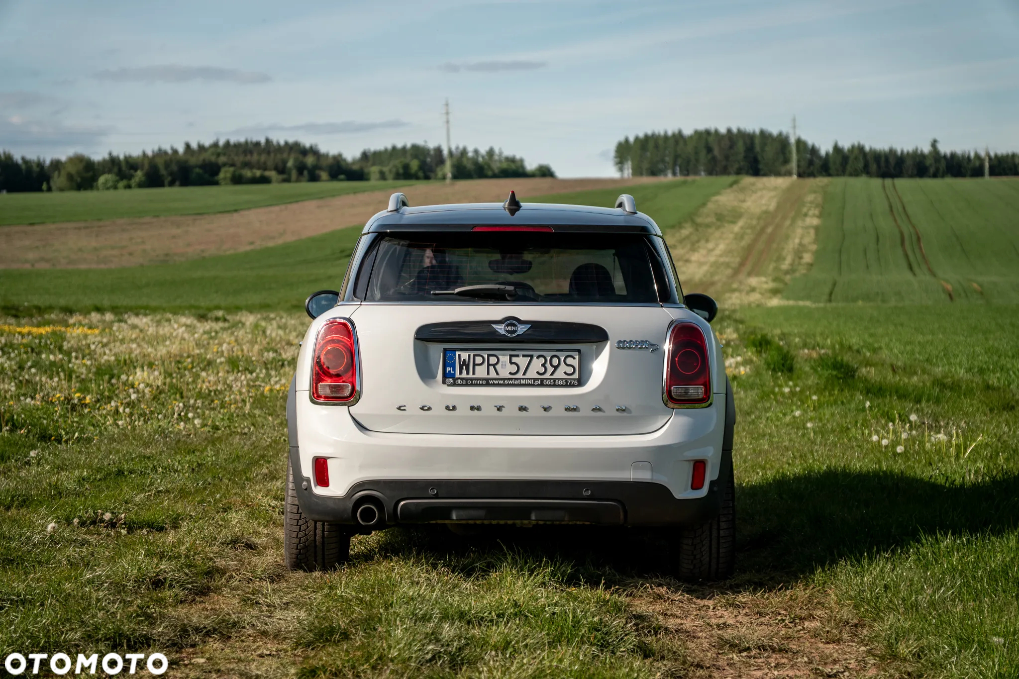 MINI Countryman Cooper D ALL4 - 6