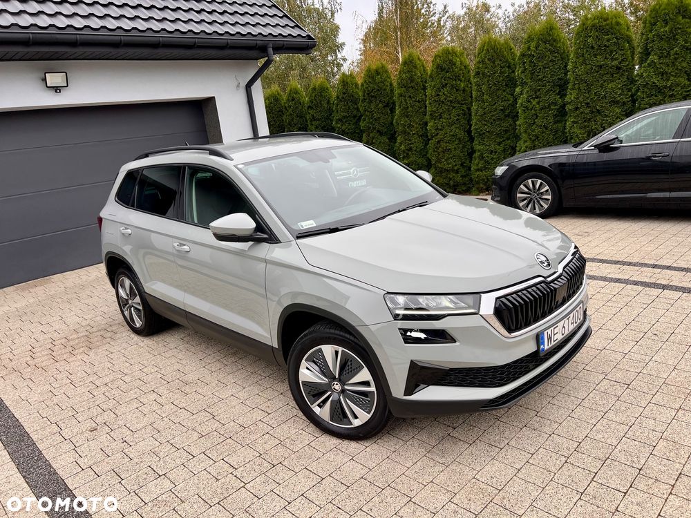 Skoda Karoq - 23