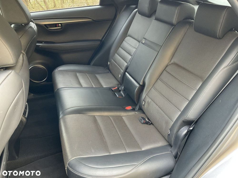 Lexus NX 300h F Sport Edition AWD - 15