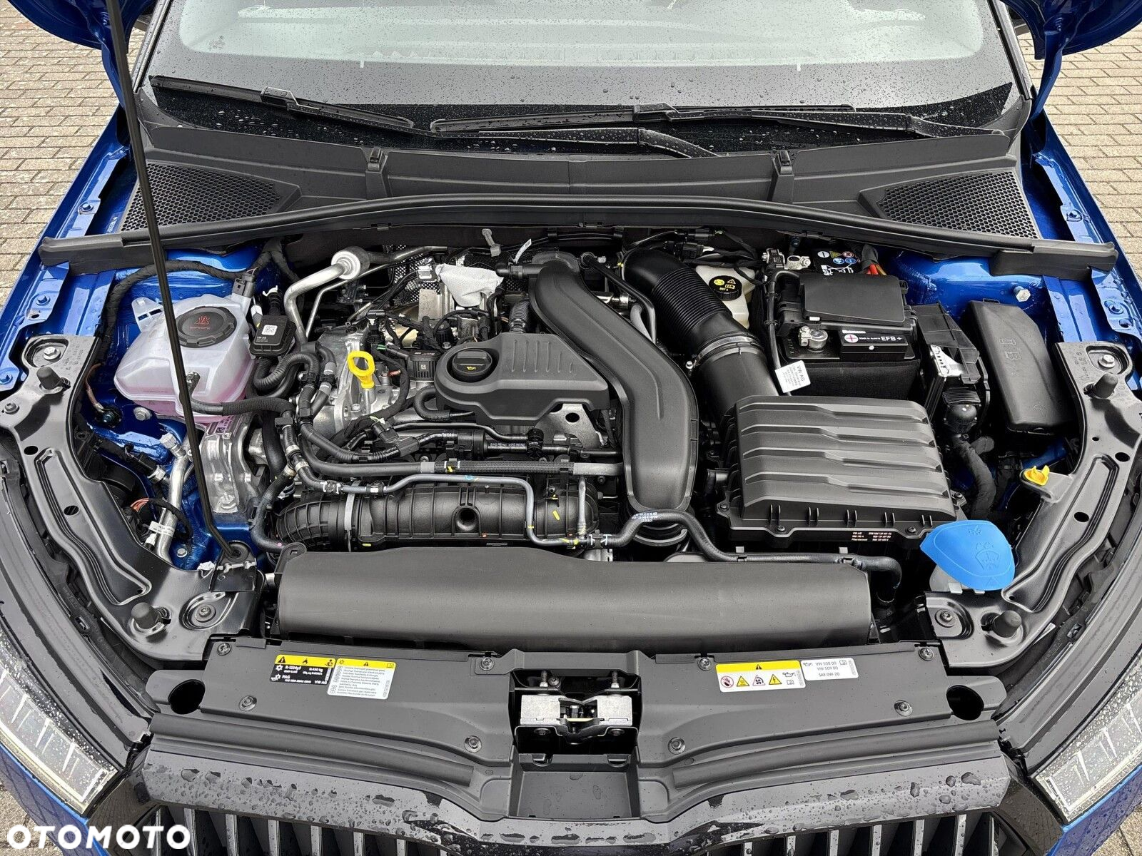 Skoda Fabia 1.5 TSI Monte Carlo DSG - 33