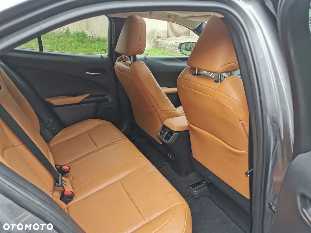 Lexus UX 250h - 12