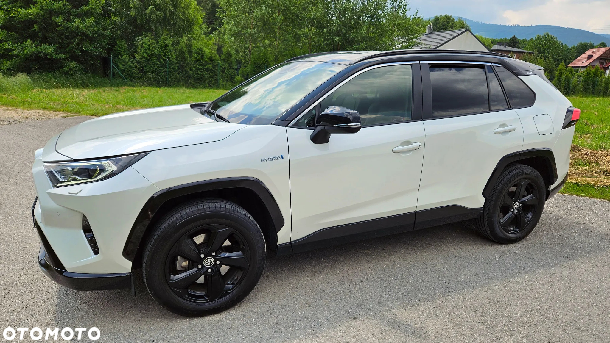 Toyota RAV4 2.5 Hybrid Selection 4x2 - 8