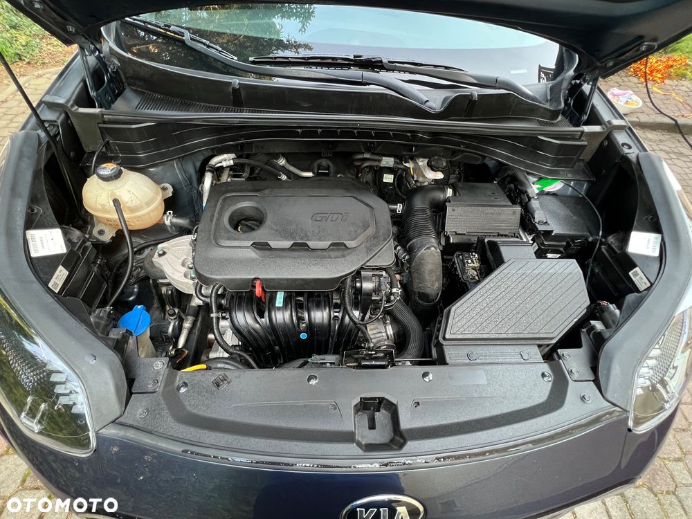 Kia Sportage - 19