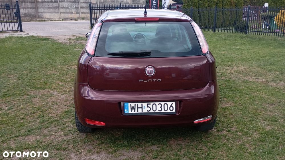 Fiat Punto - 3