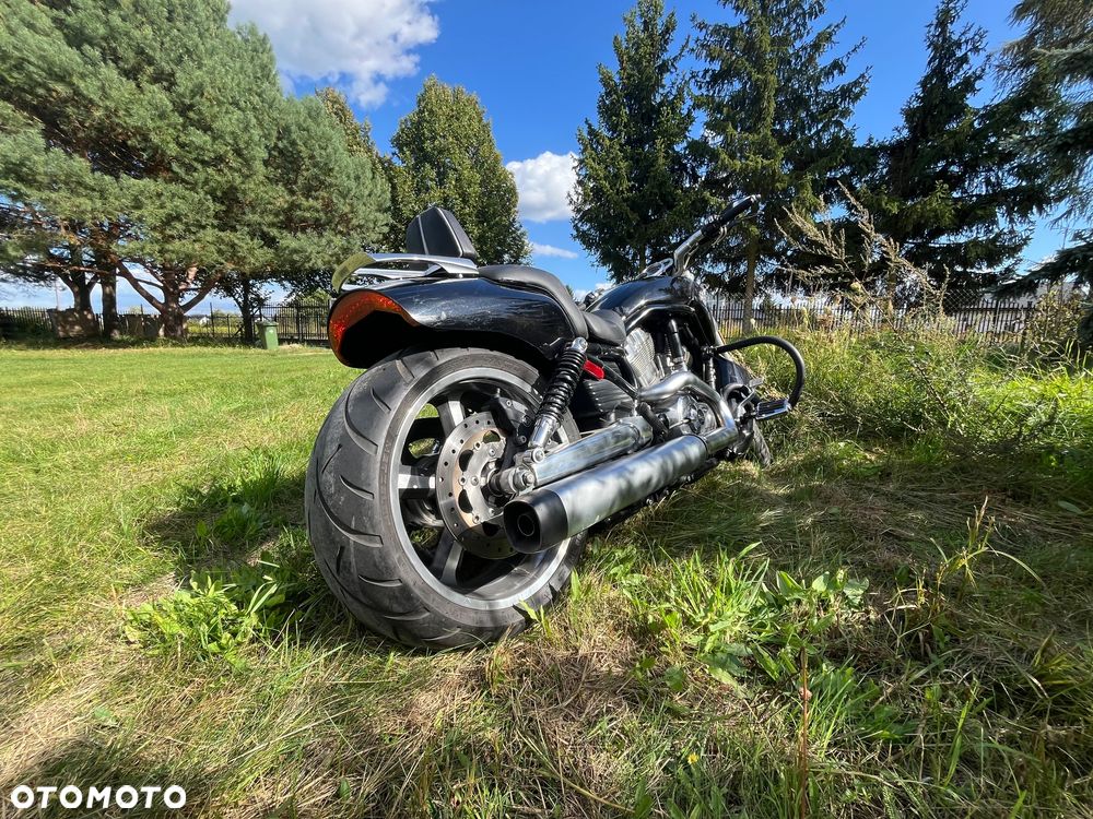 Harley-Davidson V-Rod Muscle - 5