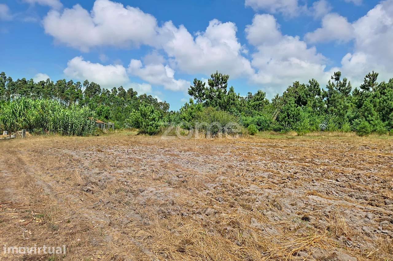 Terreno urbanizável| Ruína |3 km da Praia da Leirosa - Grande imagem: 3/34