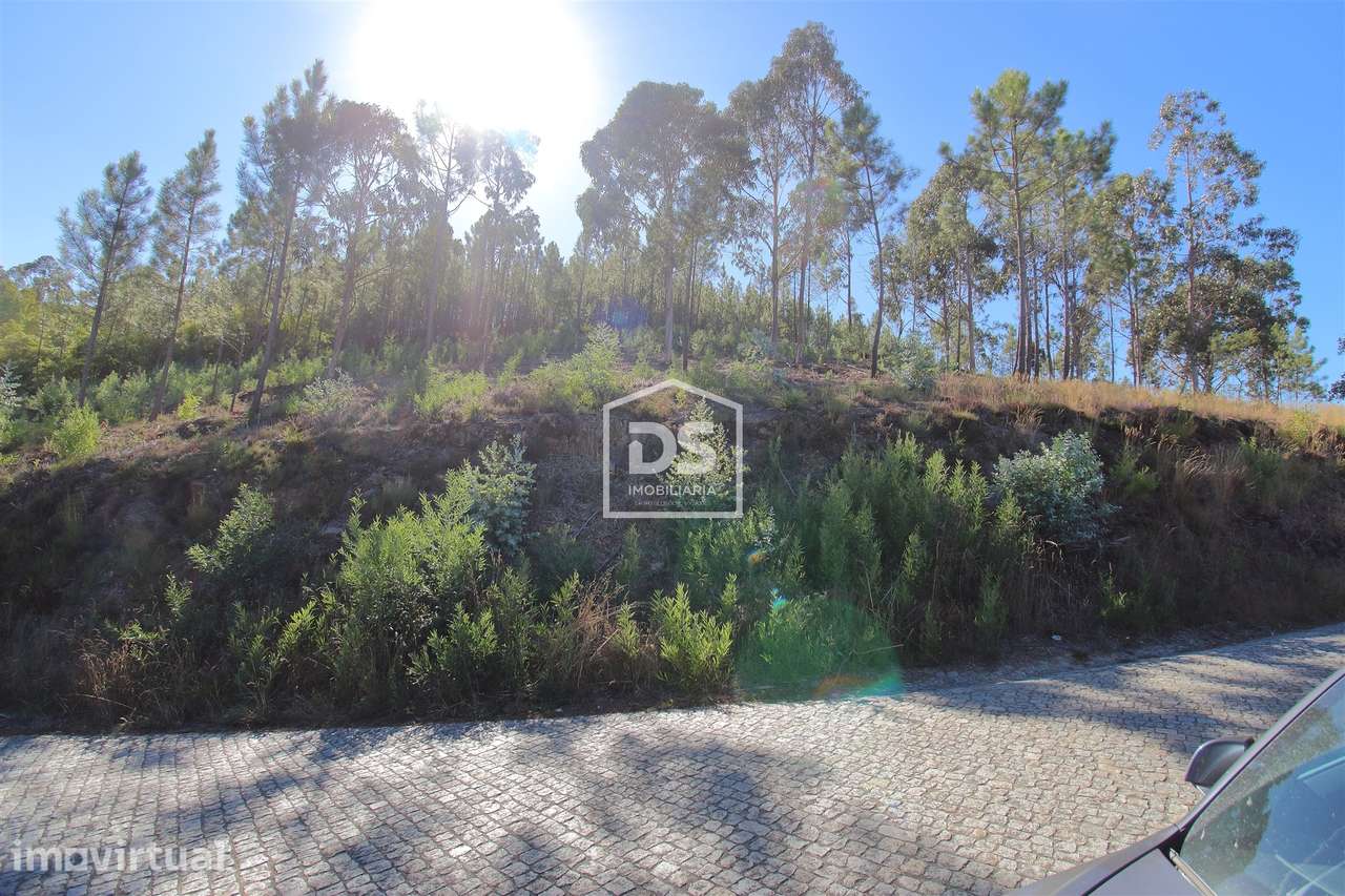Terreno  Venda em Sobreira,Paredes - Grande imagem: 2/8