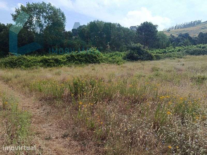 Oportunidade ÚNICA VENDE-SE TERRENO MONTE REDONDO TORRES VEDRAS - Grande imagem: 3/5