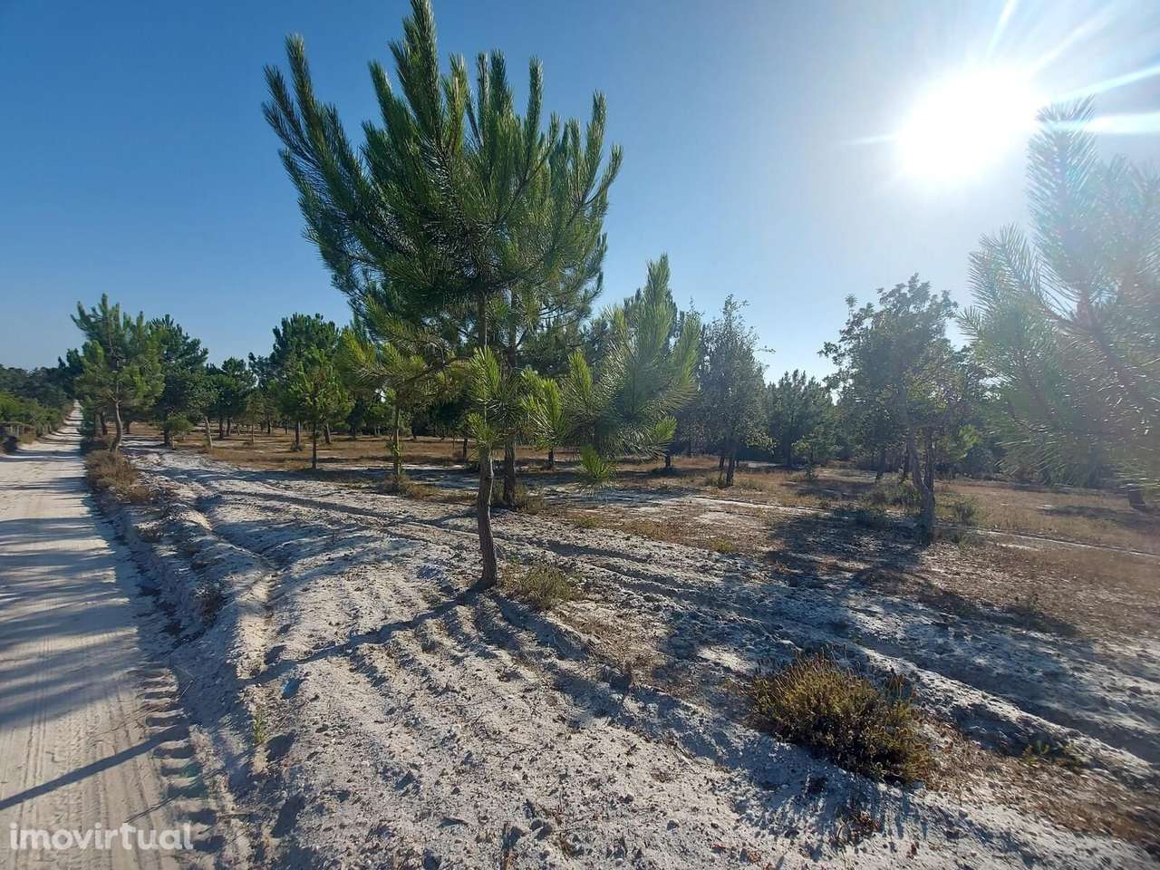 Terreno Rústico em Perímetro Urbano 1.3 ha, Lagoa de Santo... - Grande imagem: 3/16