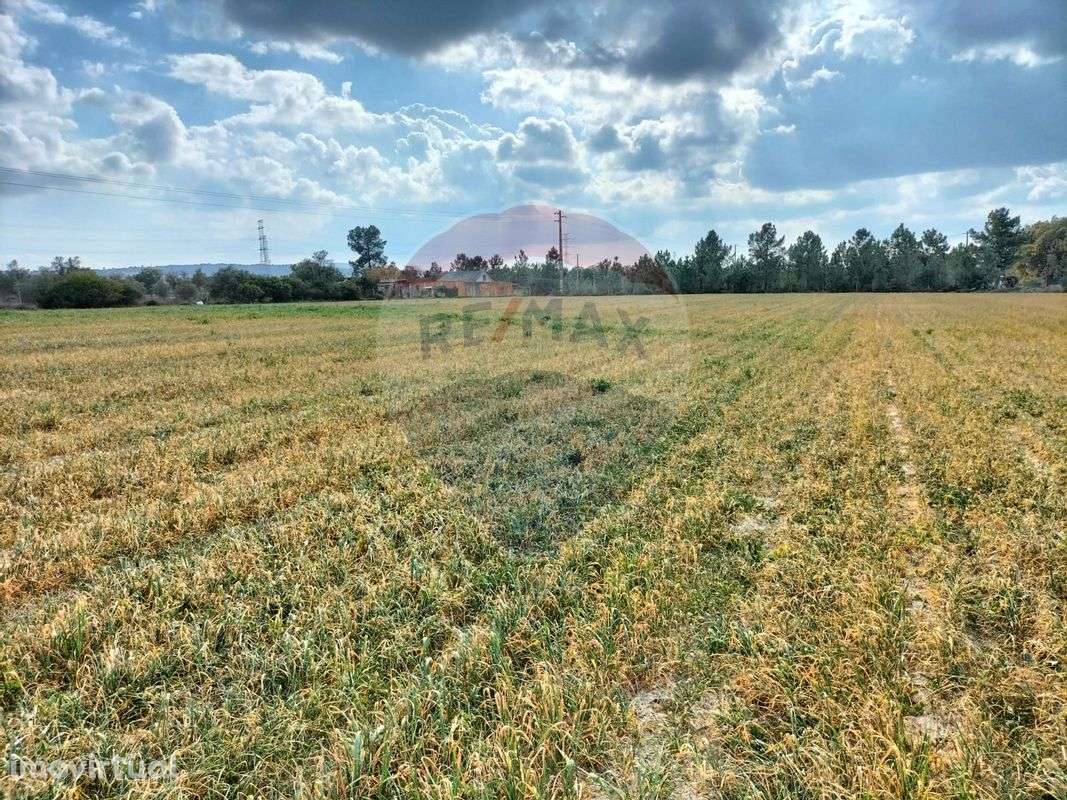 Terreno  para venda - Grande imagem: 2/28