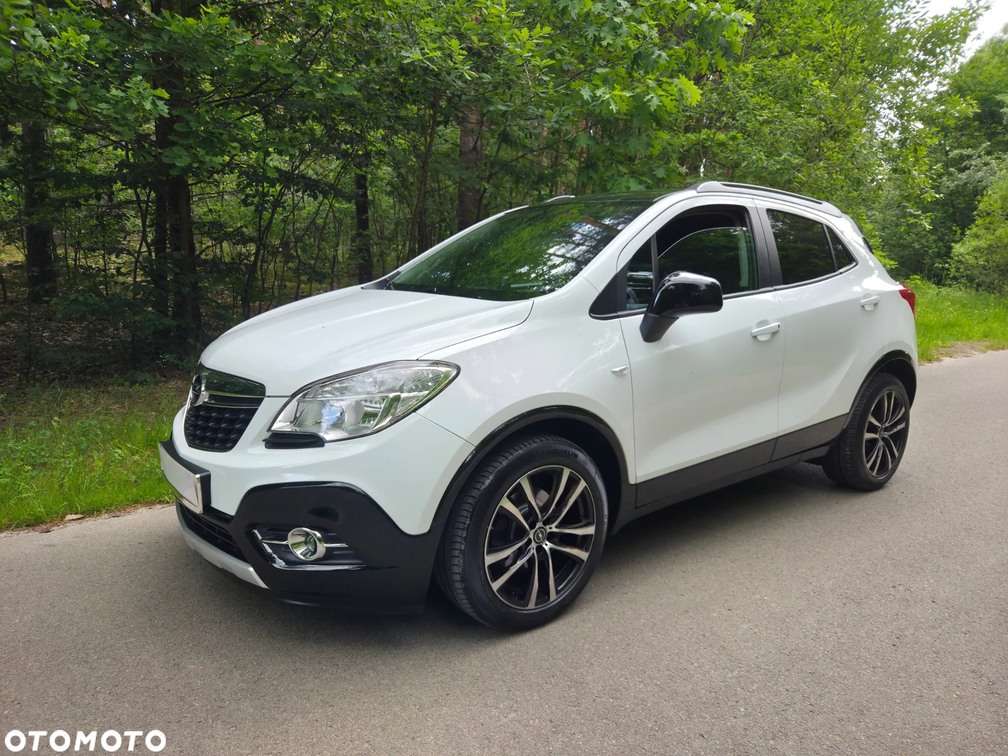 Opel Mokka 1.6 Cosmo S&S - 12