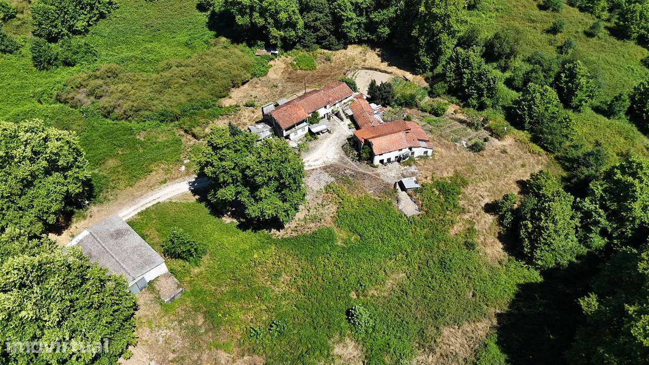 Quinta >=T10 Venda em Macieira,Lousada - Grande imagem: 5/15