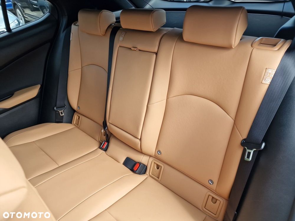 Lexus UX 250h GPF F Sport 2WD - 18