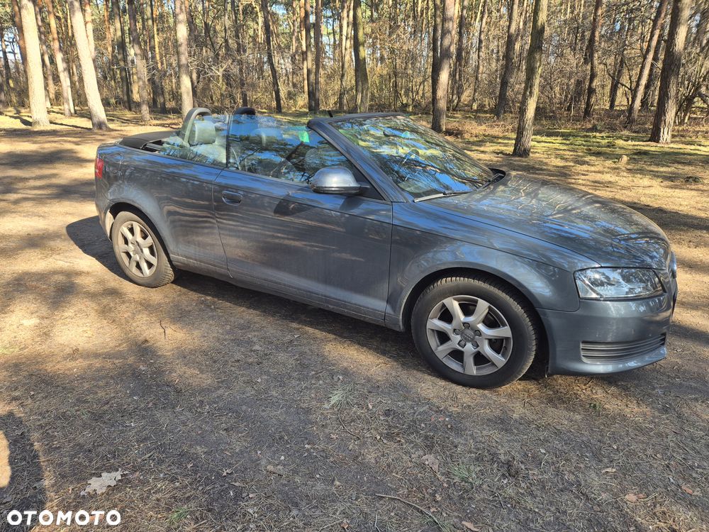 Audi A3 Cabrio 1.6 Attraction - 10