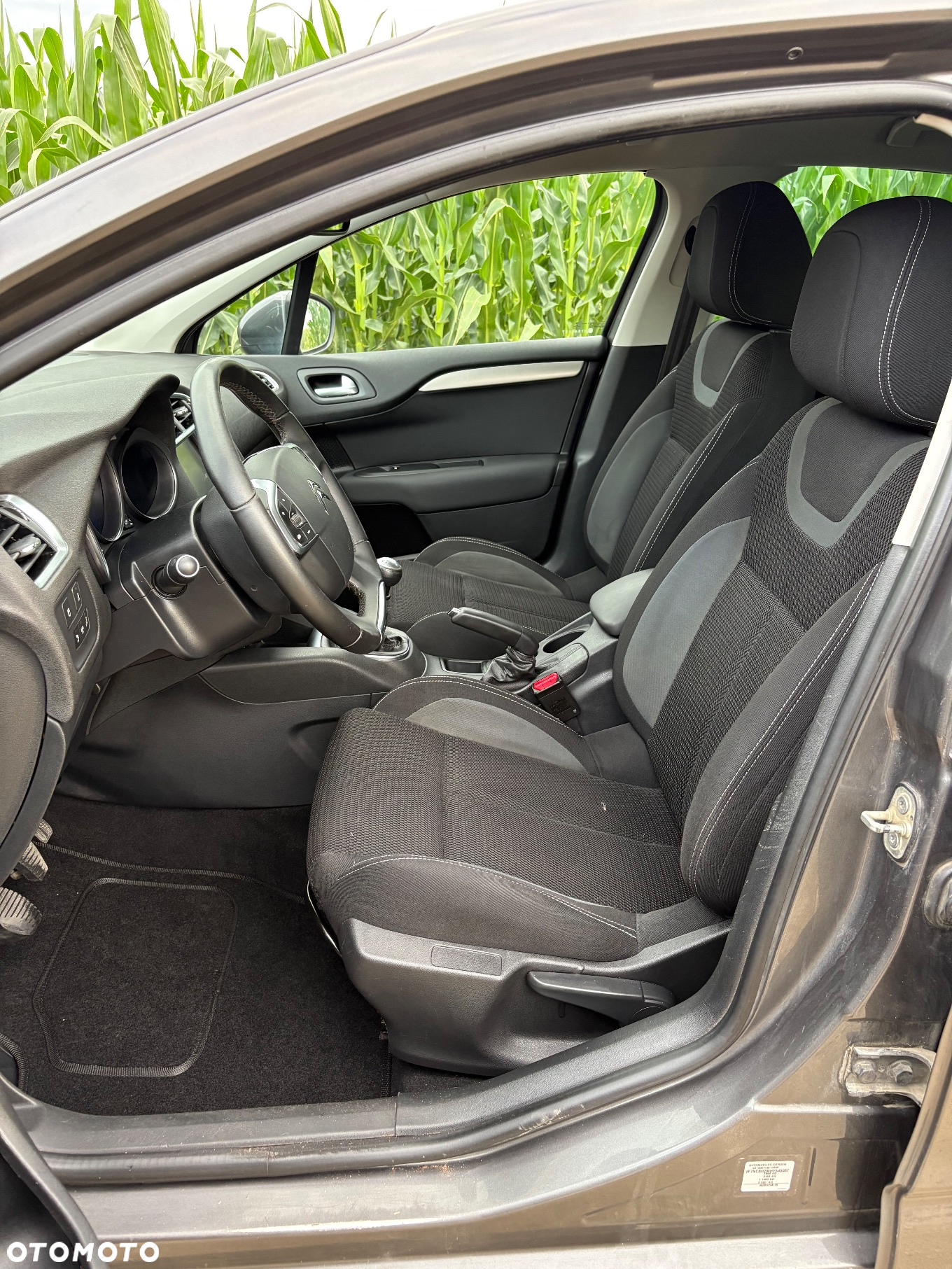 Citroën C4 BlueHDi 120 Stop&Start Shine - 15